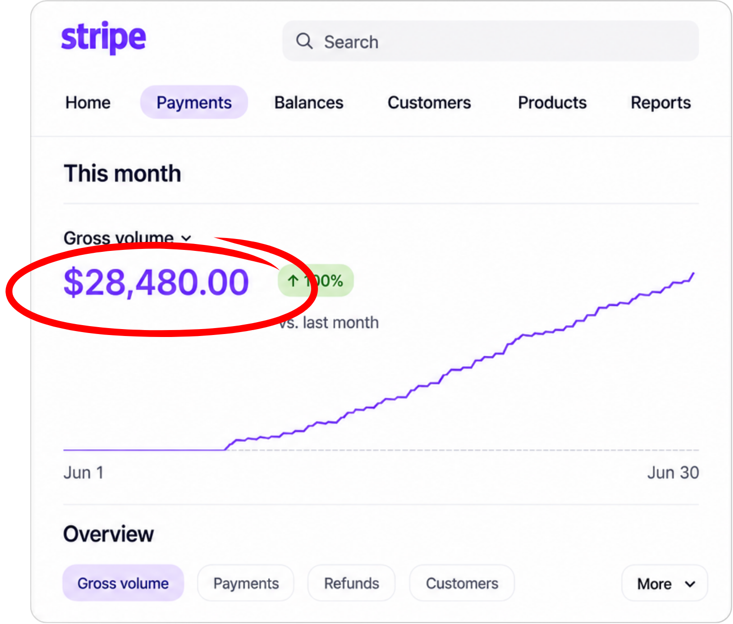 Stripe dashboard showing $28,480 gross volume in June, up 100% vs last month